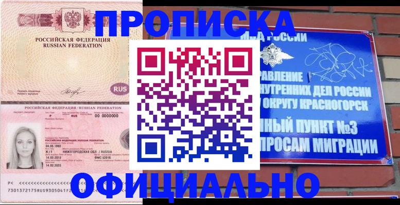 временная регистрация собственник в ЕАО